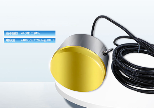 超聲波驅(qū)魚(yú)換能器