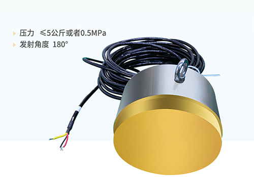 超聲波驅(qū)魚(yú)換能器